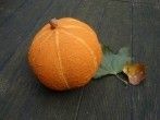 Kürbis aus Luftballon und Pappmaschee basteln