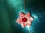 Blumen aus Stoff herstellen