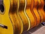 Tipps zum Gitarrenkauf für Anfänger und Kinder