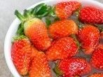 <strong>Erdbeeren</strong> richtig waschen und putzen