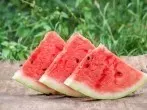 Die Wassermelone – Herkunft, Reife & Aufbewahrung