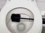 Toilettenbürste desinfizieren