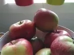 Äpfel für Allergiker