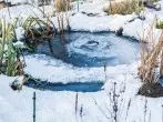 Zugefrorener See oder Teich: Trinkstelle für Tiere schaffen