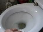 Toilette hygienisch <strong>putzen</strong>