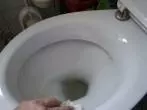 Toilette hygienisch putzen