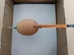 Viele Kreise perfekt auf ein Ei bringen