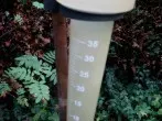 Richtiges Bewässern des Gartens bei hochsommerlichen Temperaturen