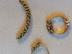 Ring zu weit geworden, was tun?