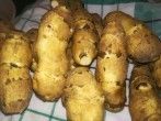Topinambur zu Kaffee, Mehl, Müsliflocken verarbeiten