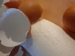 Hier sieht man zwei aufgebrachte Klebeflächen, die auf eine Eierschale „warten“…
