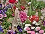 Blumenkalender und essbare Blumen