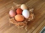 <strong>Ostereier</strong> mit Zwiebelschalen f&auml;rben - verschiedene Farbt&ouml;ne