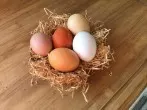 Ostereier mit Zwiebelschalen färben - verschiedene Farbtöne