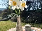 DIY mit Dingen, die jeder zu Hause hat: Flaschen-Vase
