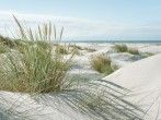 Amrum: Die Perle der Nordsee mit kilometerlangem Strand #ReiseMontag
