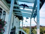 Vögel vor Glas schützen mit Warnvögel-<strong>Aufklebern</strong>