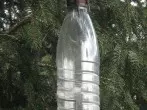 DIY-Futterstelle für Gartenvögel aus einer Einwegflasche