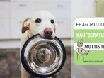 Hundenapf Test & Vergleich: 6 günstige Empfehlungen