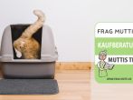 Katzenklos Test & Vergleich 2026: 6 g&uuml;nstige Empfehlungen