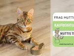 Nasses Katzenfutter Test & Vergleich: 6 Empfehlungen