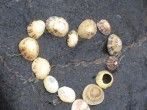 Mitmenschen mit kleinen Gesten helfen