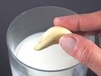Knoblauchfahne vorbeugen mit Milch