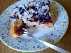 Heidelbeerkuchen vom Blech mit Aprikosen