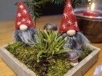 Weihnachtsdeko f&uuml;r den Kaffeetisch