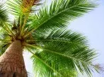 "Bernhards Welt" – das Frag Mutti-Team geht auf die Palme