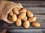 Die <strong>Kartoffel</strong> – Lagerung, Verarbeitung & Wissenswertes