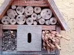 Nisthilfe für Wildbienen - schnell selbst gemacht