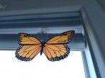<strong>Fliegen</strong> und Stechmücken im Haus in Schach halten