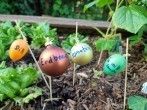 DIY-Kräuterschilder aus alten Weihnachtskugeln