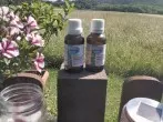 Nacktschnecken fernhalten mit Pfefferminz- und Teebaumöl