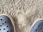 Hundehaare vom Teppich entfernen mit Crocs