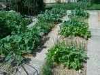 Tiefkulturbeet anlegen: Planung und Umsetzung
