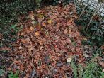 Herbstliche Laubhaufen - &Uuml;berlebenshilfe nicht nur f&uuml;r Igel