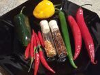 Chili: Sorten, Tipps und <strong>Sch&auml;rfe</strong> neutralisieren