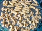 Pasta selber machen ohne Nudelmaschine