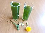 Kräuterwasser selber machen – Frühjahrskur
