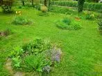 Blumeninseln im Garten anlegen – so belebst du triste Rasenflächen
