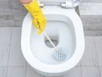 <strong>Toilette</strong> mit Hausmitteln <strong>reinigen</strong> – Anleitung und Tipps