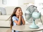 „Warum kühlt ein Ventilator?“