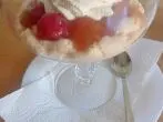 Stachelbeer-Kompott mit Vanillepudding