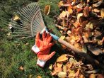 Gartenarbeit im Herbst &ndash; was ist zu tun?