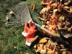 Gartenarbeit im Herbst – was ist zu tun?
