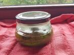 Brennnnessel-<strong>Pesto</strong> selber machen