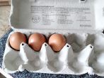 <strong>Eier</strong> leichter aus den Karton entnehmen