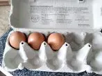 Eier leichter aus den Karton entnehmen